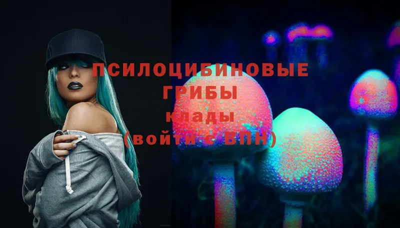 наркота  Губкин  Галлюциногенные грибы Psilocybine cubensis 