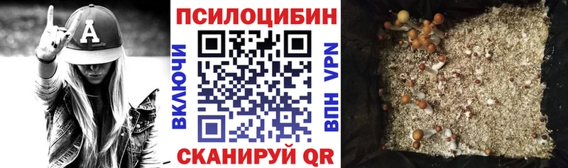 Псилоцибиновые грибы Magic Shrooms  магазин  наркотиков  Губкин 