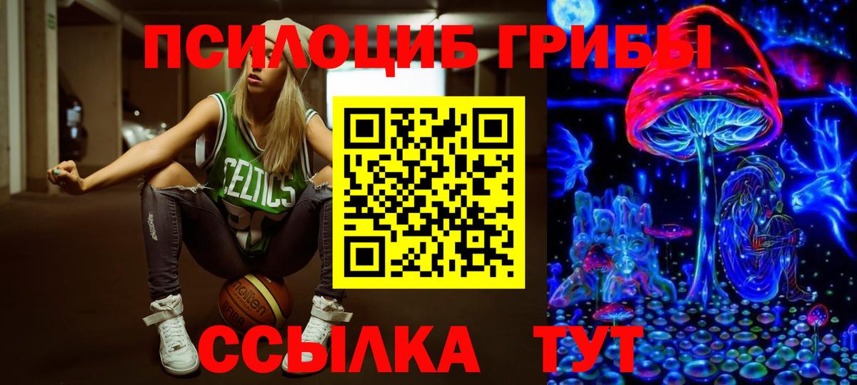 Галлюциногенные грибы прущие грибы Губкин