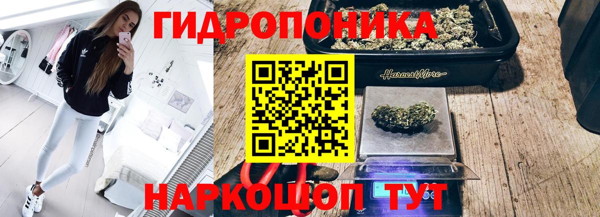 Бошки Шишки Amnesia  Шишки марихуана AK-47  Канабис THC 21%  Вход с VPN  Губкин  Марихуана сатива 